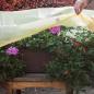 Preview: Bio Blumenkastenhauben (2 Stück)