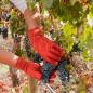 Preview: Handschuhe "Comfort Grip", Doppelpack