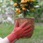 Preview: Handschuhe "Comfort Grip", Doppelpack