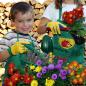 Preview: Kinder-Garten-Set „plantolino“ (5-teilig)