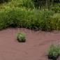 Preview: Bio-Mulchvlies (15 m²)