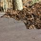Preview: Bio-Mulchvlies (15 m²)