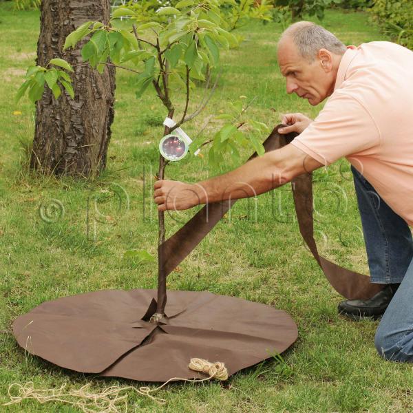 Bio-Baumpflegeset