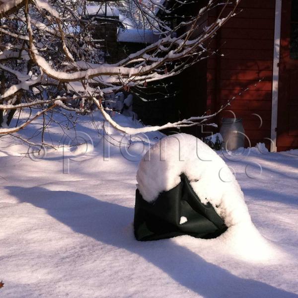 Bio Wintervlies Hauben "planto pro"