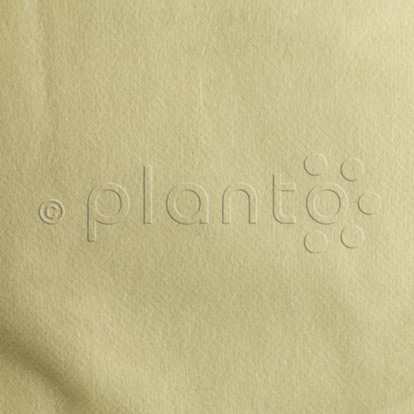 Bio Wachstumsvlies „planto pro“ (12 m²)