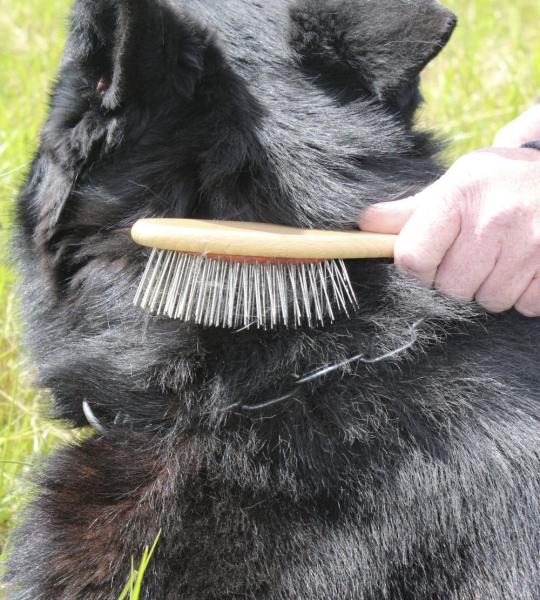 Maxi-Tierbürste für Langhaar