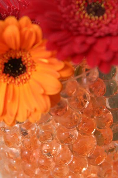 Wasser Perlen für Blumen