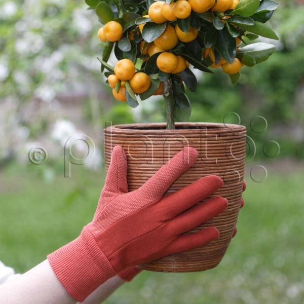 Handschuhe "Comfort Grip", Doppelpack