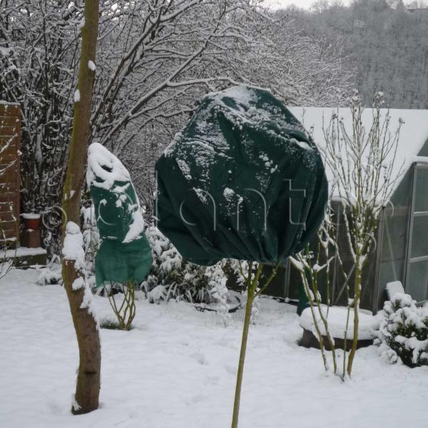 Bio Wintervlies Hauben "planto pro"