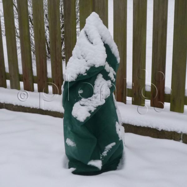 Bio Wintervlies Hauben "planto pro"