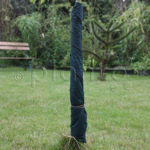 Bio Wintervlies Decke "planto pro"