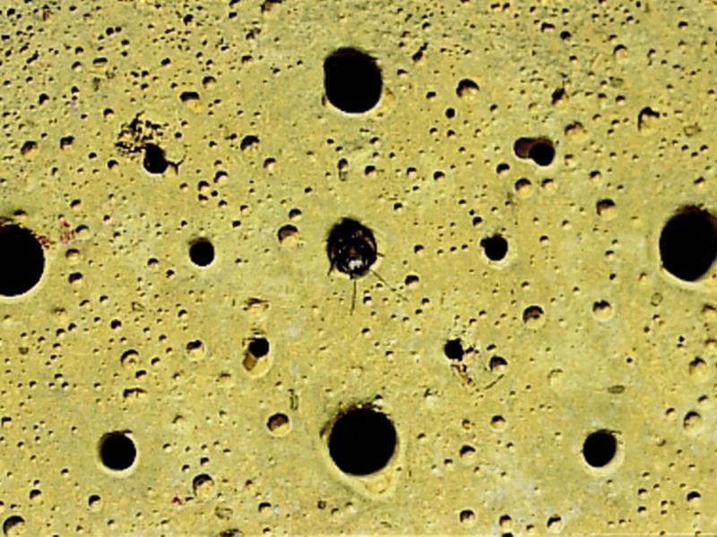 Nistblock für Insekten